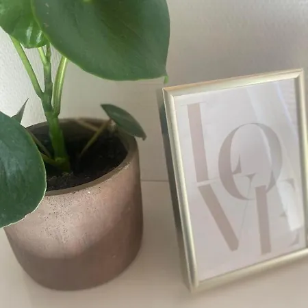 Privat Lejlighed Med 2 Vaerelser, Opholdsrum, Eget Badevaerelse Pansiyon